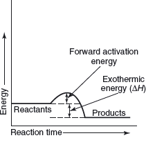 Figure 1. An Exothermic Reaction