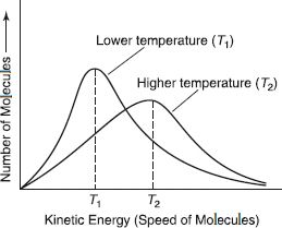 Figure 20. Molecular Speed Distribution in a Gas at Different Temperatures