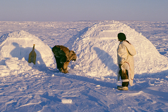 nwt-4-514_building_igloo.tif