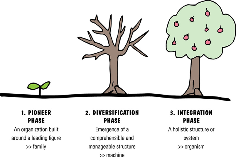 Image shows pioneer phase (seeding plant: organization built around leading figure family), diversification phase (tree without leaves: machine), and integration phase (tree with leaves and fruits: holistic structure: organism).