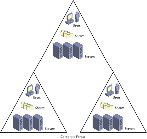 Organizational forest model