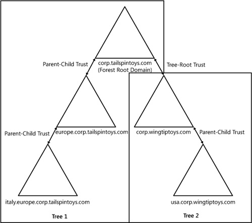 Default trust path in a complex forest