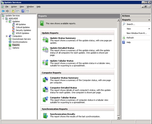 WSUS reporting options