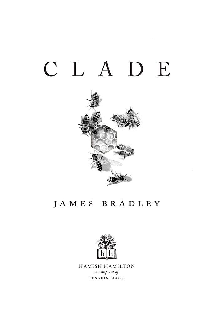 Clade