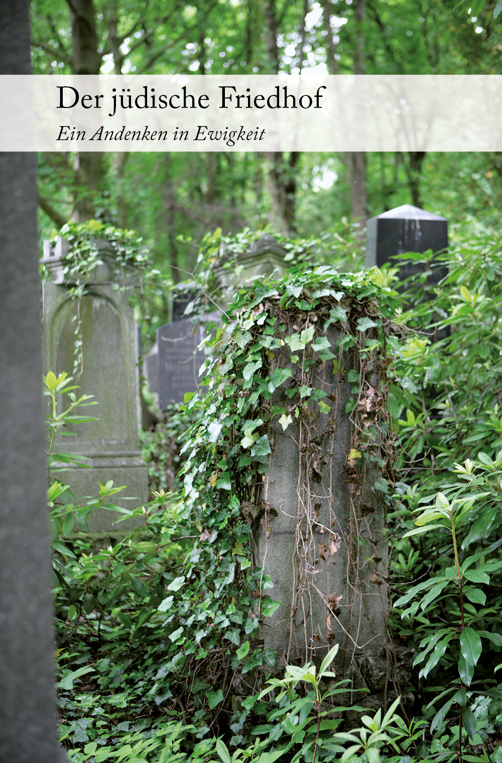 Der jüdische Friedhof