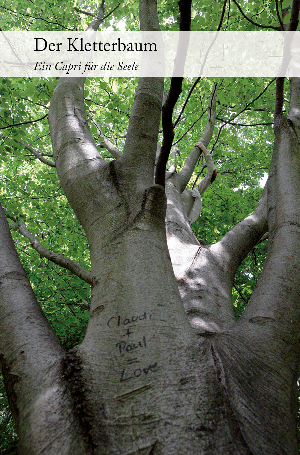 Der Kletterbaum