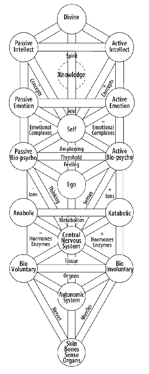 fig11