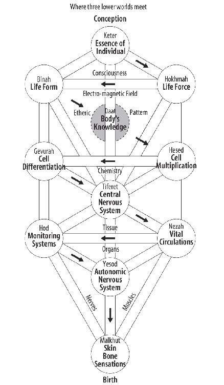 fig17