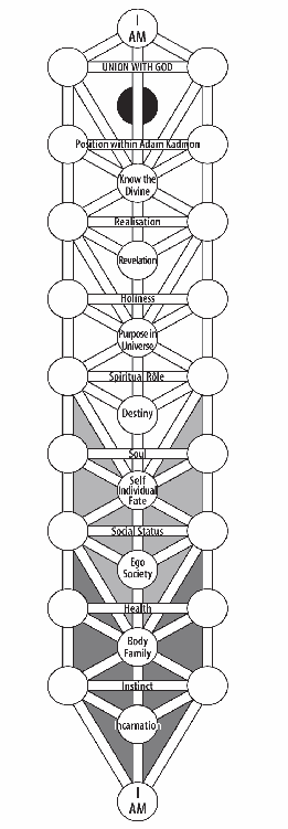 fig56