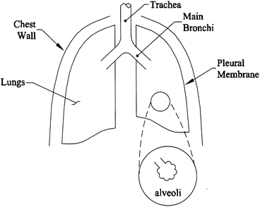 A77741_2_En_10_Fig1_HTML.gif