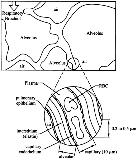 A77741_2_En_10_Fig3_HTML.gif