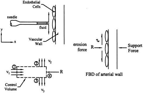 A77741_2_En_10_Fig8_HTML.gif