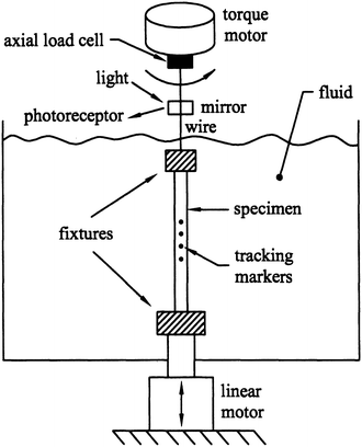 A77741_2_En_4_Fig21_HTML.gif