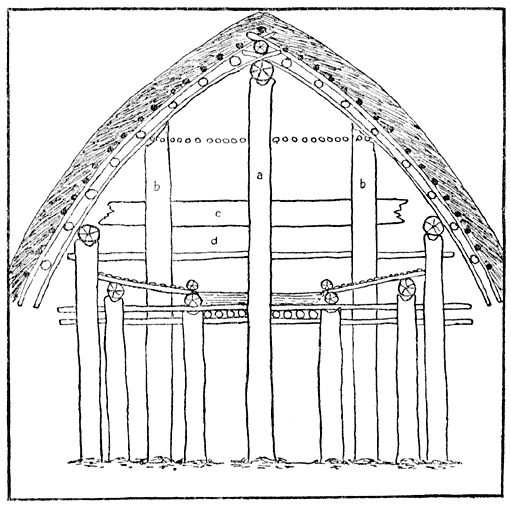 Diagram of Transverse Section across Centre of Emone.