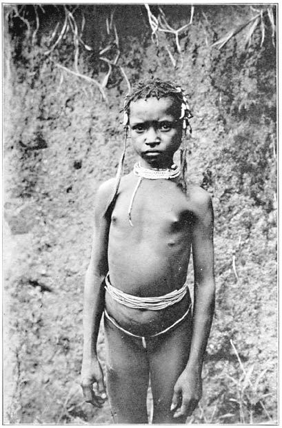 A Little Girl with Head Decorations.