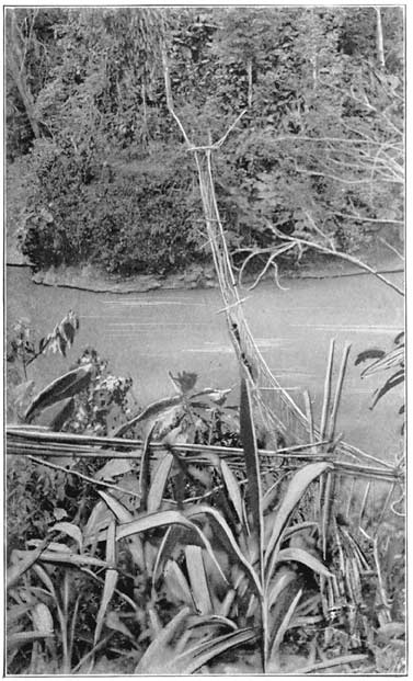 Suspension Bridge over St. Joseph River (form used for broad rivers).