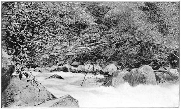 Bridge over Aduala River (form used for narrow rivers).