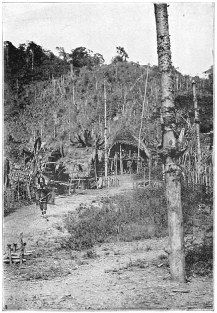 The same Funeral Feast. Guest Chief Dancing down Village Enclosure.