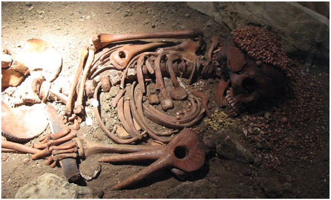 Figure 2.1. The so called “Little Prince” burial excavated at the Arene Candide Cave (Finale Ligure) and now displayed at the Archaeological Museum in Genova. Di ho visto nina volare from Italy–Genova 2008, CC BY- SA 2.0, https://commons.wikimedia.org/w/index.php?curid=12682943