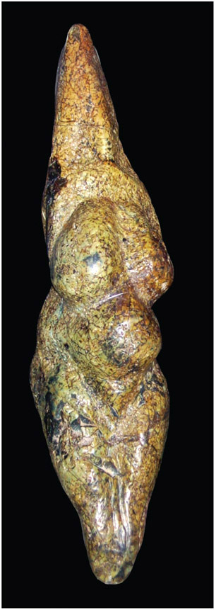 Figure 2.2. Venus of Savignano, front view. No machine- readable author provided. 120 assumed (based on copyright claims). [CC BY- SA 3.0 (http:// creativecommons.org/licenses/by- sa/3.0/)]