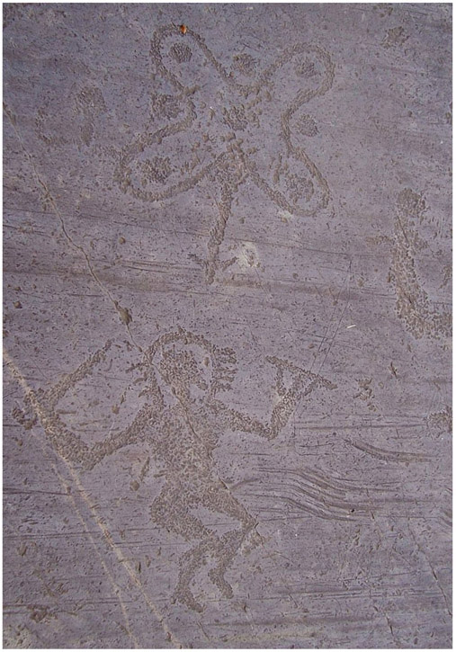 Figure 4.1. Petroglyphs from Valcamonica with a Camunian rose and an anthropomorphic figure. Di Luca Giarelli–Opera propria, CC BY-SA 3.0, https://commons.wikimedia.org/w/index.php?curid=8644541