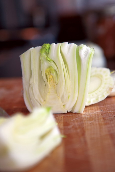 Fennel