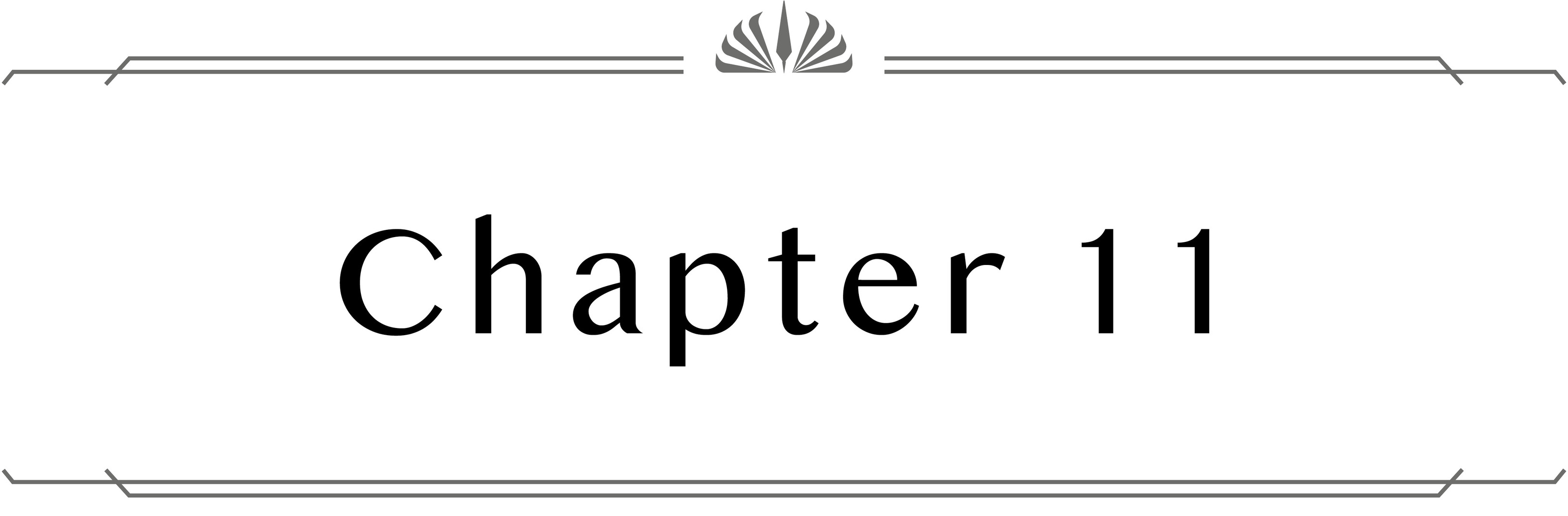 Chapter 11