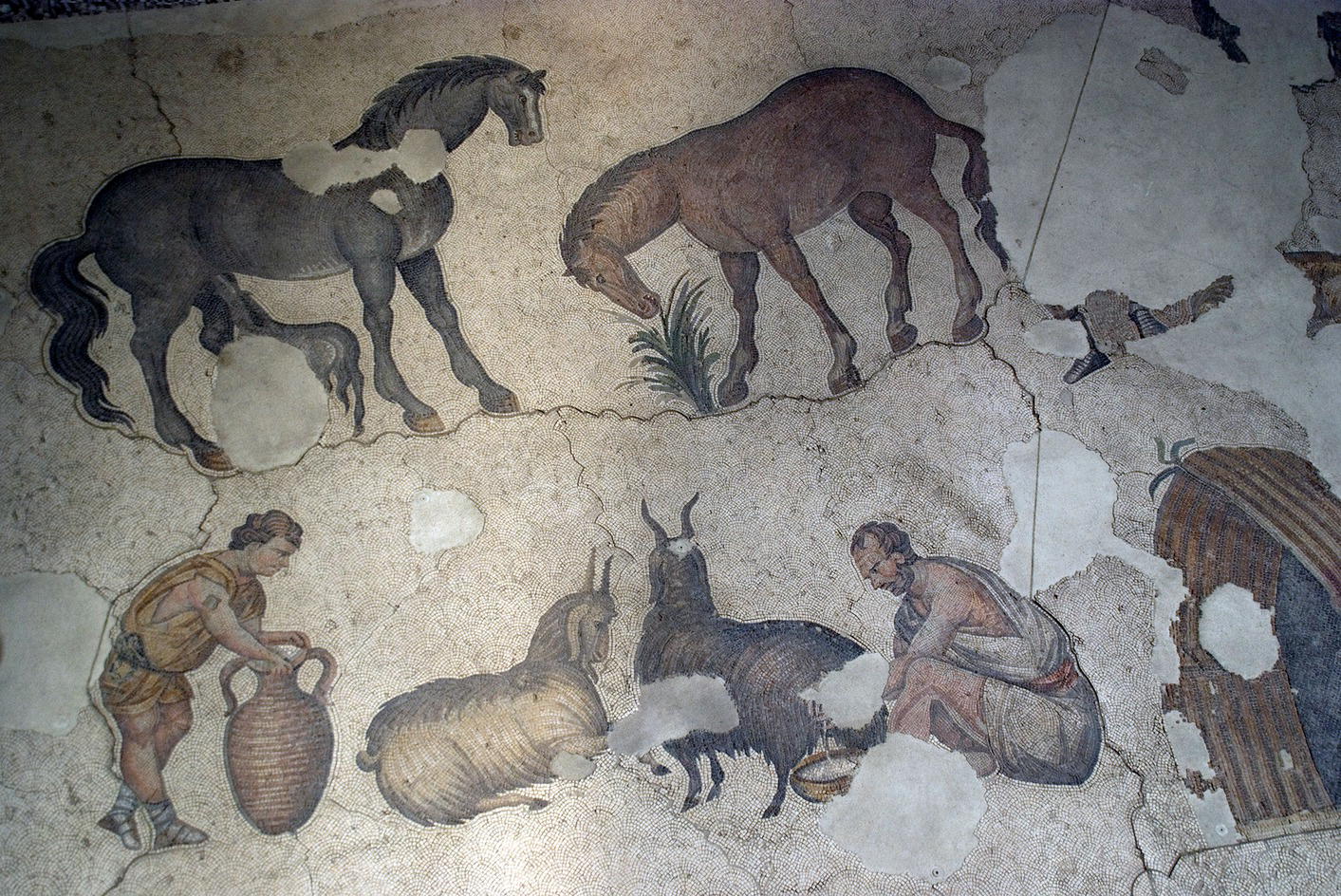 Illustration of an artifact, Great Palace Mosaic, displaying a man on his knee attending to 2 goats (right) and a man holding a jar (left). 2 Horses are in the background.