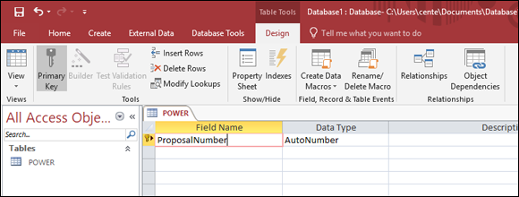 Screenshot of the Access window for using a descriptive field name to define the primary key.