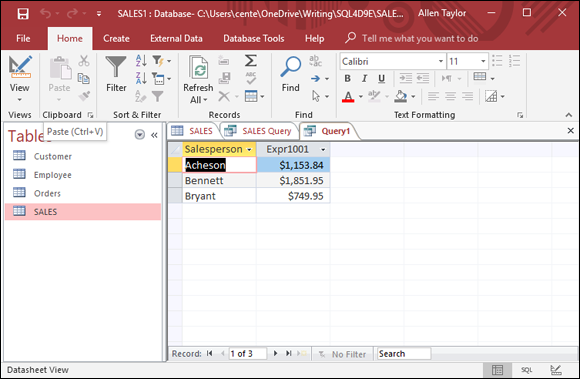 Screenshot of a Sales database window displaying the total sales for each salesperson.