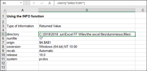 A worksheet displaying values returned using the INFO function. Cell B5 is labeled C:\2018\2018 jun\Excel FF Wiley\the excel files\dummiessxclfi;es\ with a formula of =INFO(“DIRECTORY”). 