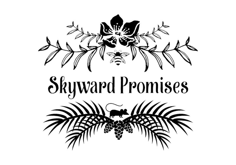 Chapter title: Skyward Promises