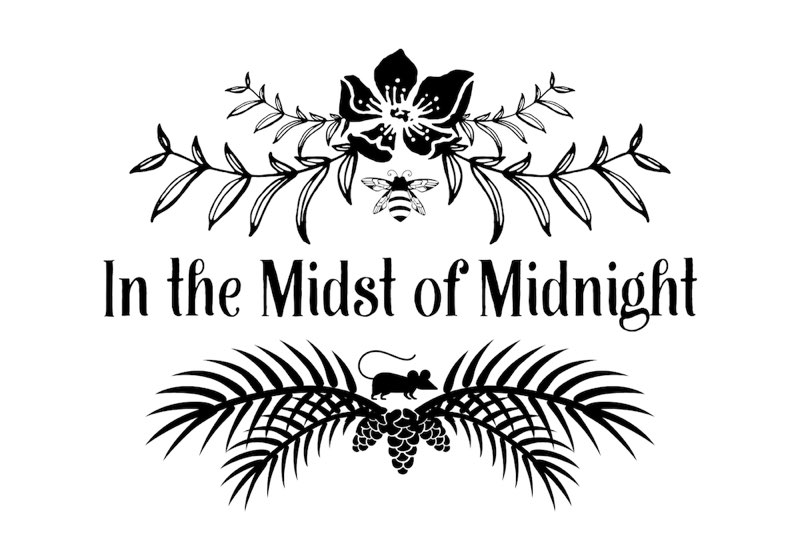 Chapter title: In the Midst of Midnight