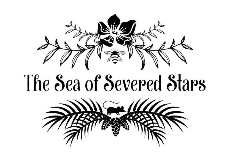 Chapter title: The Sea of Severed Stars