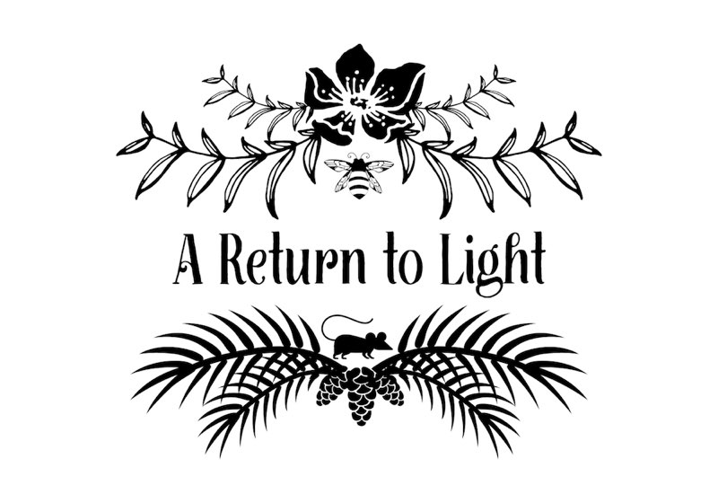 Chapter title: A Return to Light