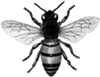 Worker Bee Press Logo