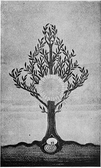 Fig. 12 Corresponding to the sun in the branches, the snake in the roots of the tree wears a halo, an indication of the successful union of tree and snake