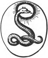 Fig. 37 Agathodaimon serpent