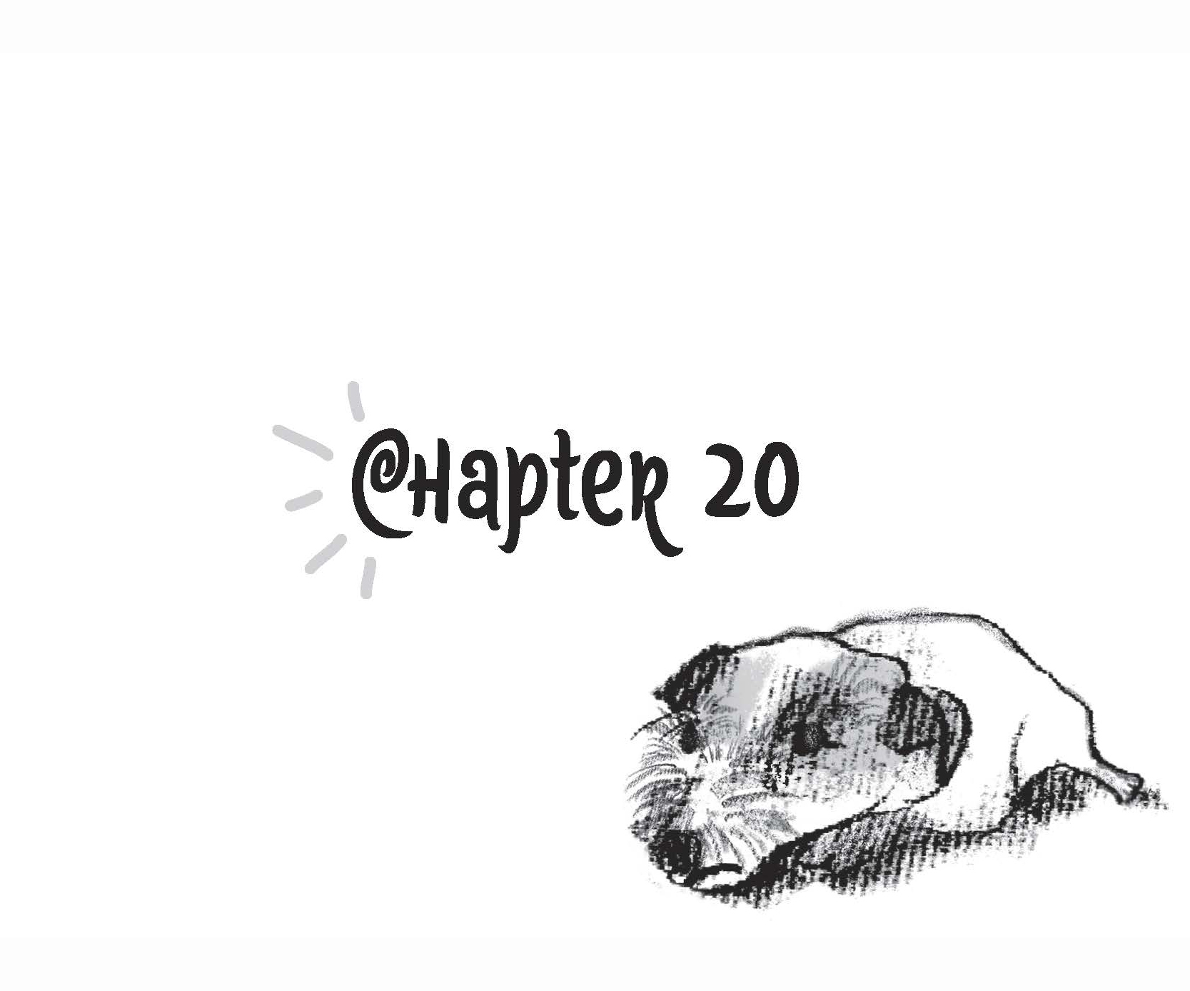 Chapter 20