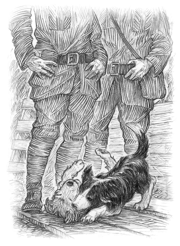 A pair of dogs play at the feet of two soldiers