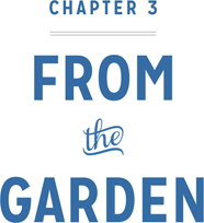 Chapter 3: From and Garden