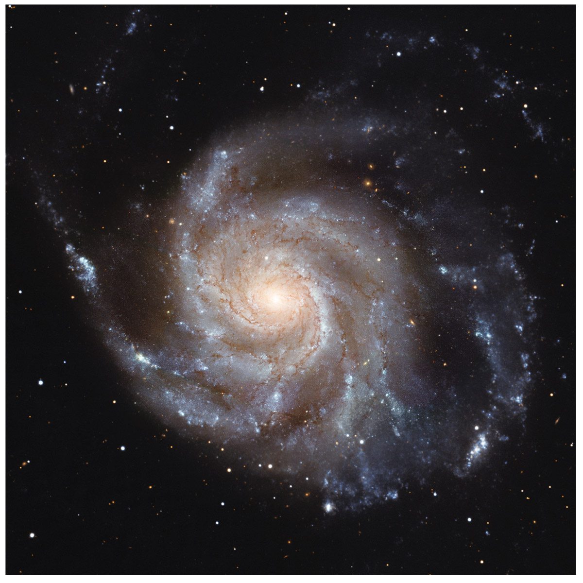  M101, the Pinwheel galaxy.   NASA/HST