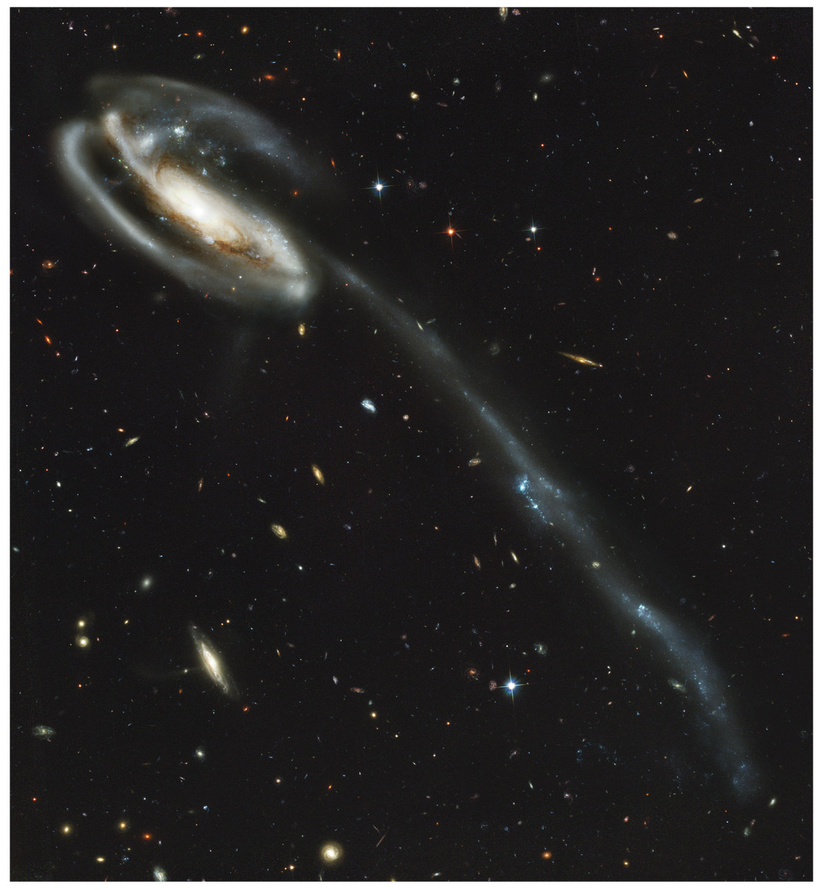  Tadpole galaxy from the Hubble Space Telescope. This is actually two galaxies that have merged, and are in the process throwing out a long tail. Many faint and much more distant galaxies are also visible in this image.  ACS Science and Engineering Team, NASA