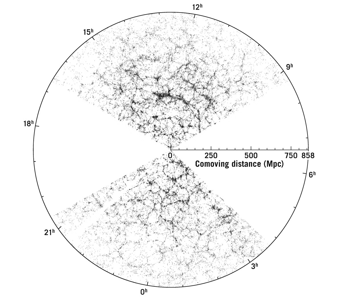  Distribution of galaxies in an equatorial slice from the Sloan Digital Sky Survey. The Milky Way is at the center. Each dot represents a galaxy. The two fans show galaxies in the survey region; the two blank regions are regions the survey did not cover. The radius of this diagram is about 2.8 billion light-years.  J. Richard Gott, M. Jurić, et al. 2005,   624: 463–484