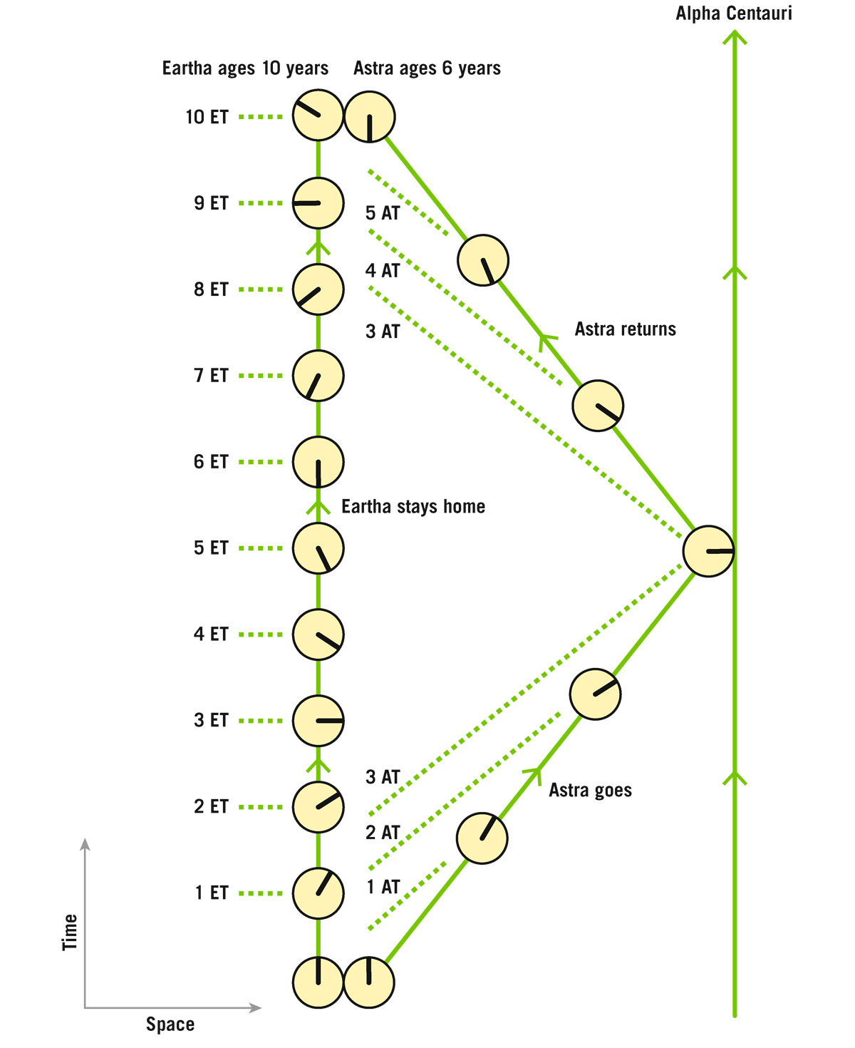  The Twin Paradox spacetime diagram of twins Eartha and Astra. Eartha stays home. Her worldline is straight. Astra goes to Alpha Centauri and returns—her worldline is bent. Astra ages less than Eartha does. Clocks show time measured by each in years. Dashed lines show Eartha Time (ET) and Astra Time (AT).  J. Richard Gott