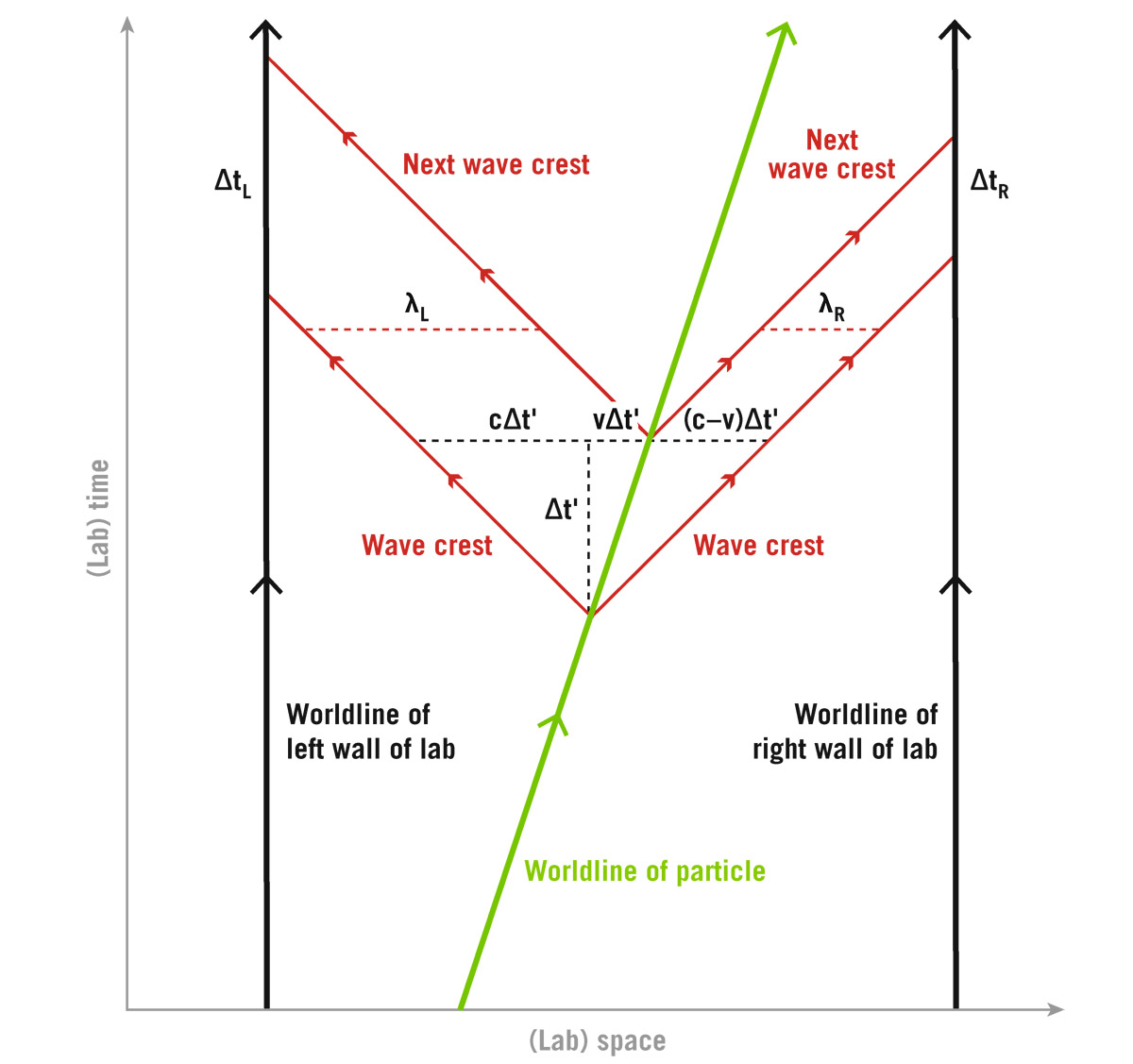  Spacetime diagram of   =   thought experiment. Stationary walls of the lab have vertical worldlines. The particle moves from left to right with velocity  , its worldline is tipped. It emits a photon to the left (whose wave crests move at 45° to the upper left) and an equivalent photon to the right (whose wave crests move at 45° to the upper right). The lab time between the particle’s emission of the two sets of wave crests is  ', shown by the vertical dashed line. In that time the first leftward wave crest moves a distance  ' to the left, while the particle moves a distance    ' to the right as shown. The wavelength (distance between wave crests) of the leftward-moving photon is shown:   = (  +  ) '. The wavelength of the rightward-moving photon is shorter:   = (  –  ) ' due to the Doppler shift.   J. Richard Gott