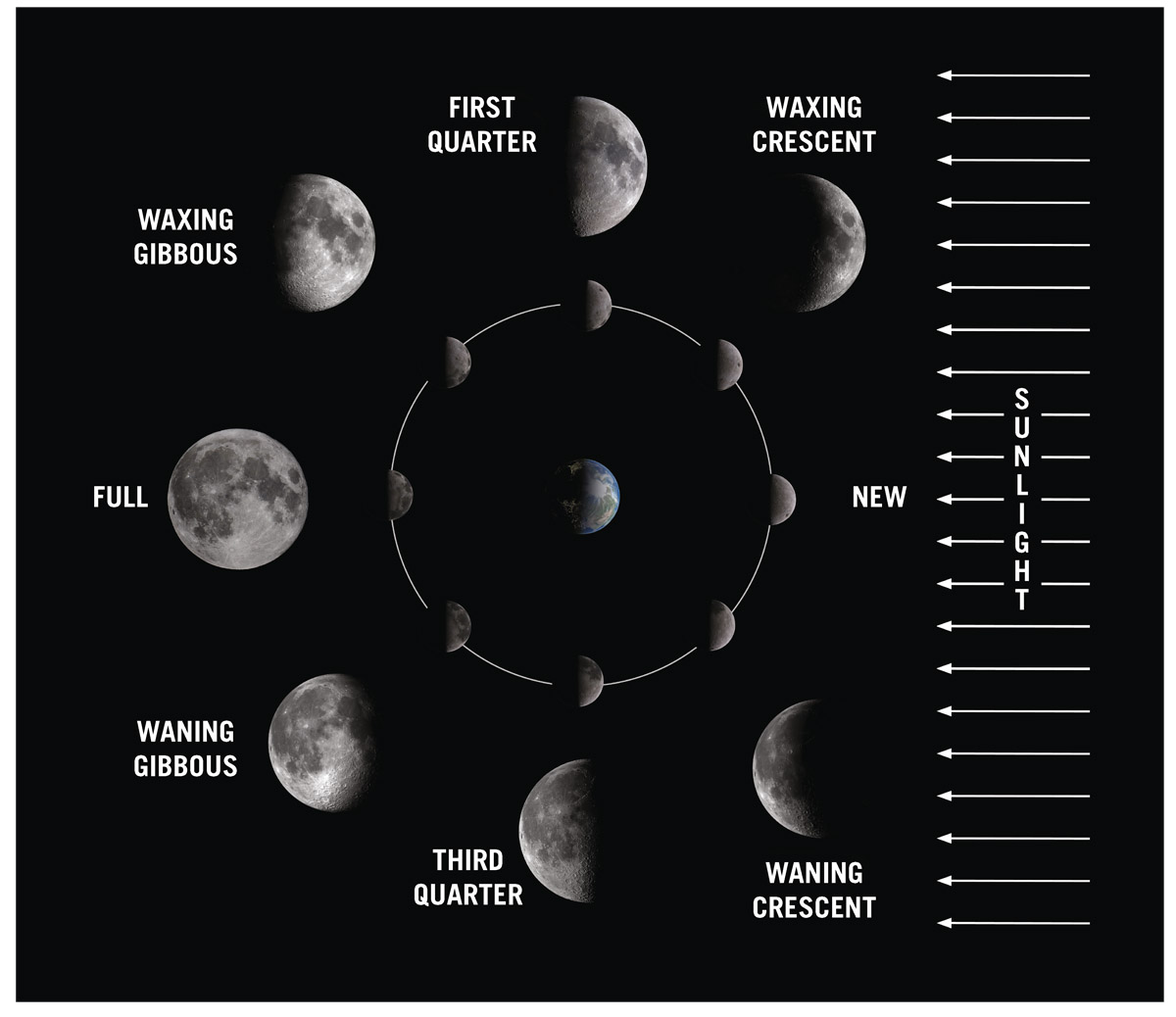  The Moon’s phases as it circles Earth. The Sun, at right, always illuminates half of Earth and half of the Moon. The diagram shows the sequence (counterclockwise) of positions the Moon occupies as it orbits Earth. We are looking down on the orbit from the north. The Moon always keeps the same face toward Earth. Notice that at new moon, its back side, never seen from Earth, is illuminated. The large photographs show the appearance of the Moon at each position as seen from Earth.   Robert J. Vanderbei