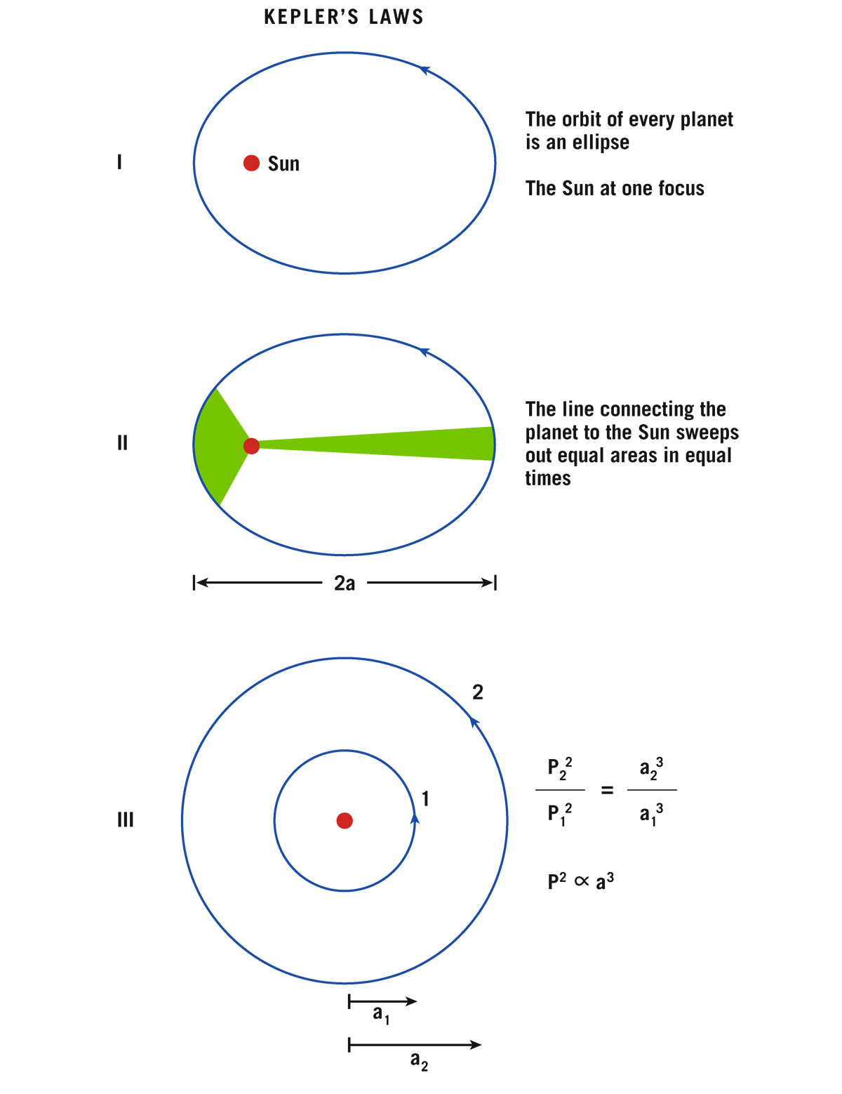  Kepler’s Laws. The quantity   is the  , half the long diameter of the elliptical orbit. For a circular orbit, with zero eccentricity, the semi-major axis is the same as the radius.   J. Richard Gott