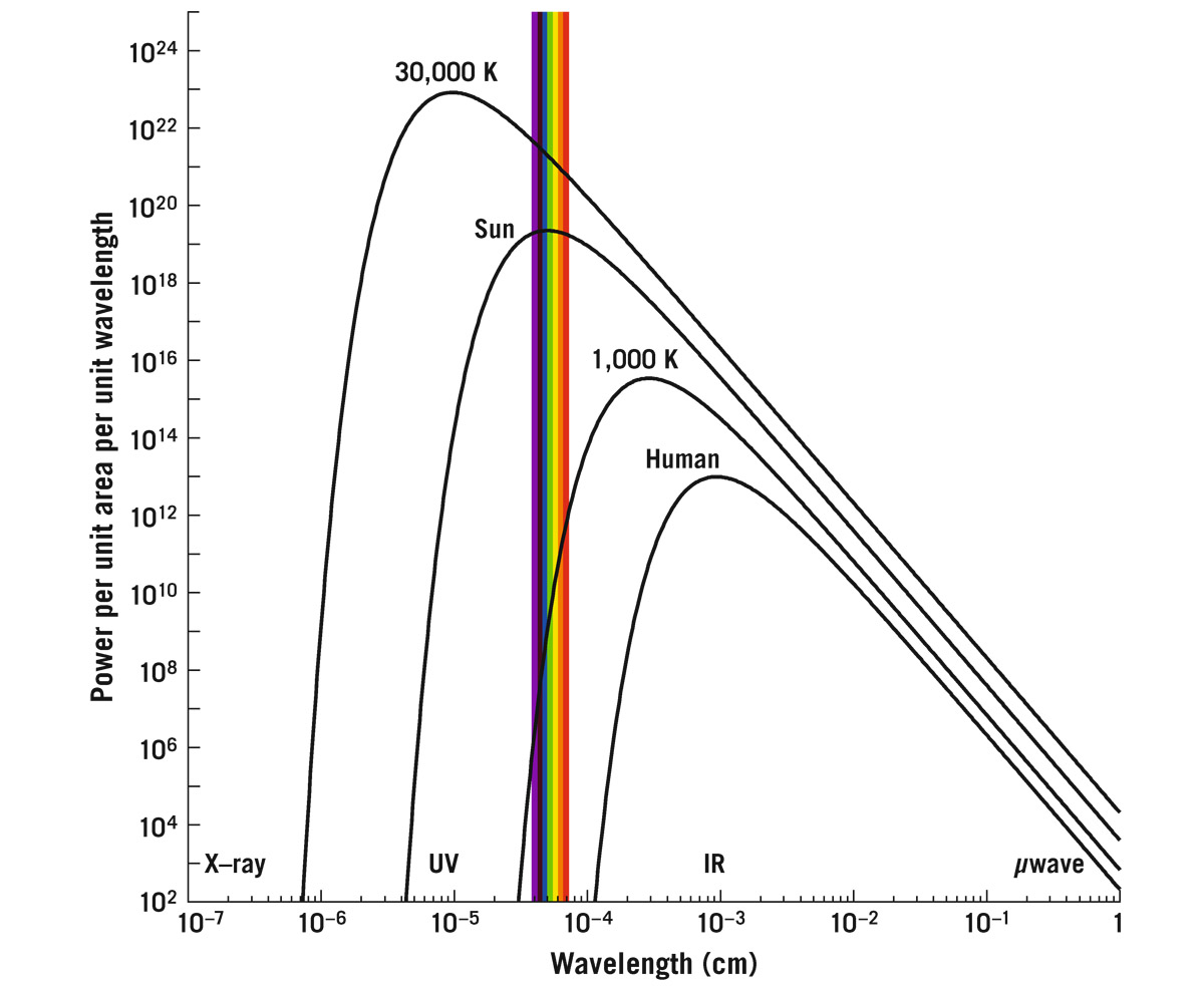  Radiation from stars and humans. The vertical coordinate plots energy per unit time (i.e., power) emitted by various objects per unit wavelength per unit surface area. The horizontal coordinate is wavelength. We show a 30,000 K star, the Sun (5,800 K), a 1,000 K brown dwarf star, and a human (310 K). Wavelengths corresponding to X-rays, UV, visible light (rainbow-colored bar), infrared, and microwaves ( waves) are shown.  Michael A. Strauss