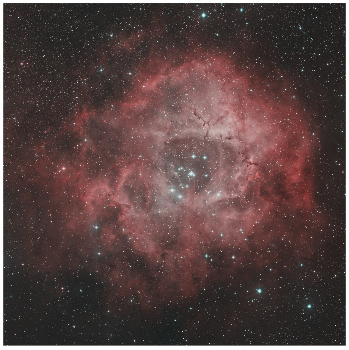  Rosette Nebula, a star-forming gas cloud. The red color is due to emission from hydrogen, specifically the   = 3 to   = 2 transition (H ).   Robert J. Vanderbei